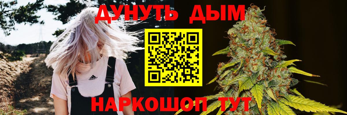 Шишки марихуана сатива  Шишки марихуана конопля  Холмск  Вход с VPN 